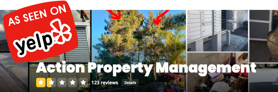 Action Property Managment 1-1/2 star yelp review image.